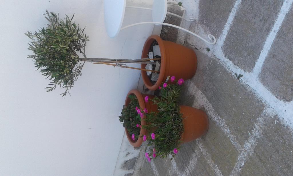 Angela'S Rooms Mykonos Town Dış mekan fotoğraf